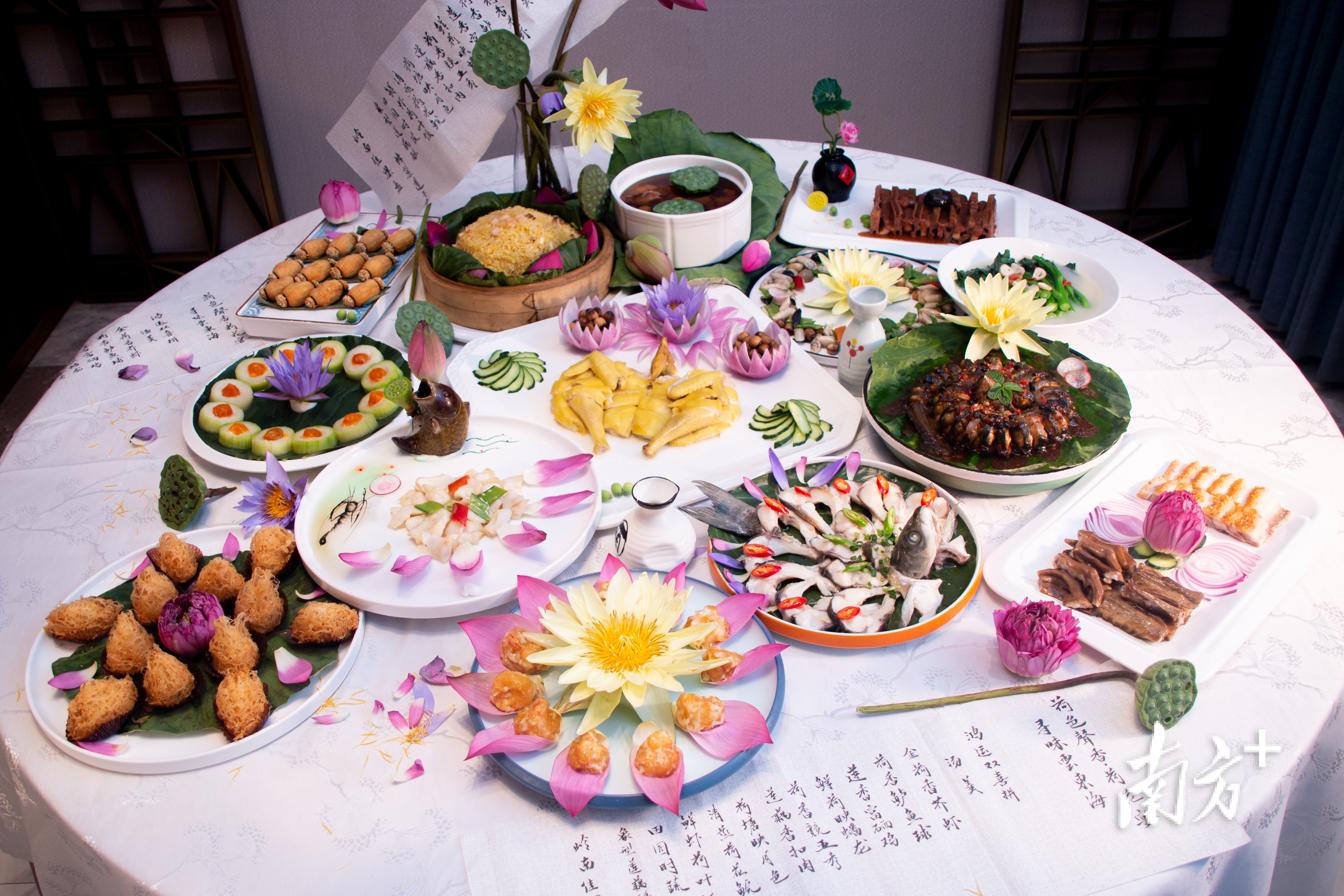 视频|一桌荷花宴,品遍三江鲜