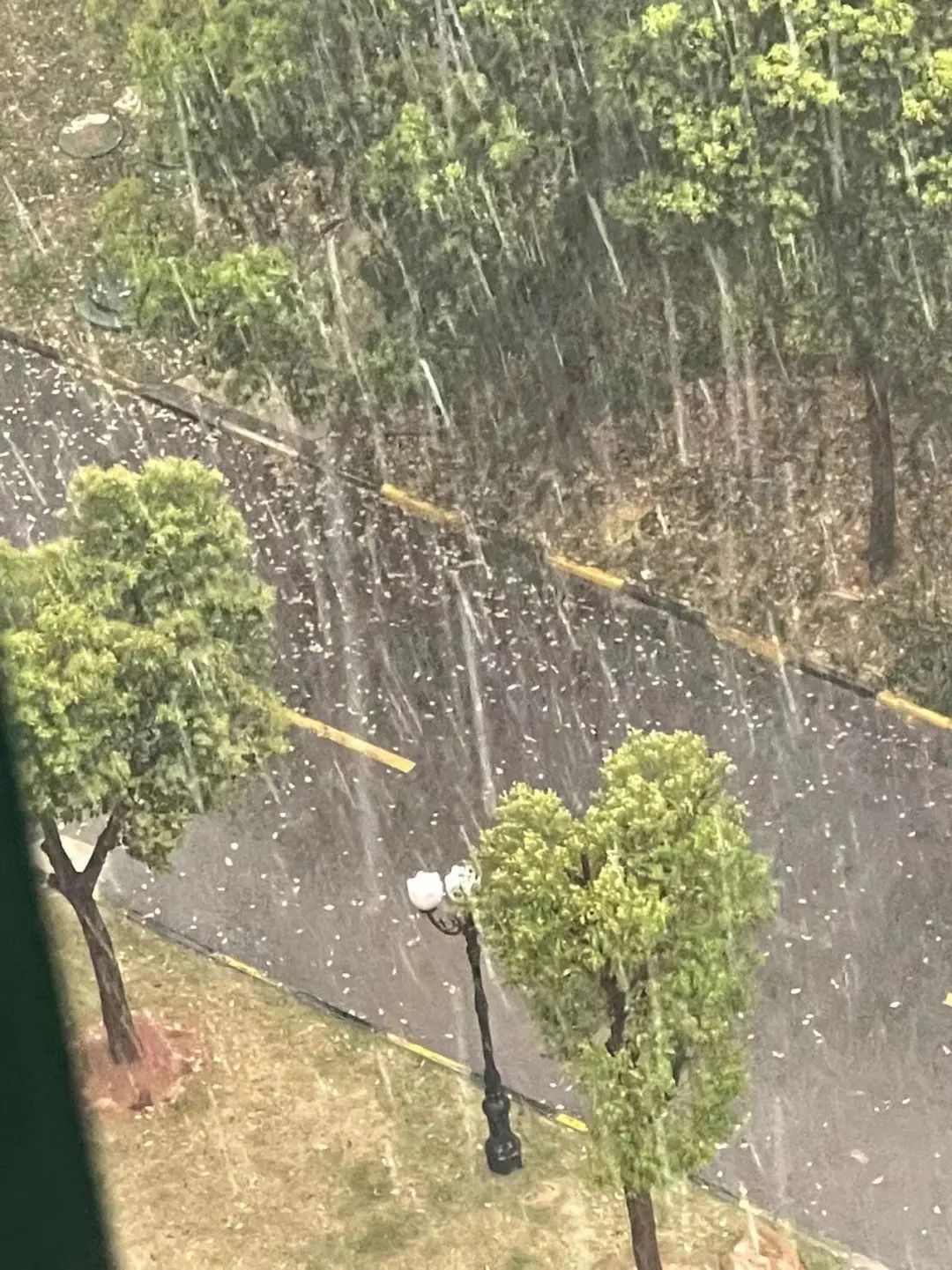 刚刚!武汉下冰雹了!