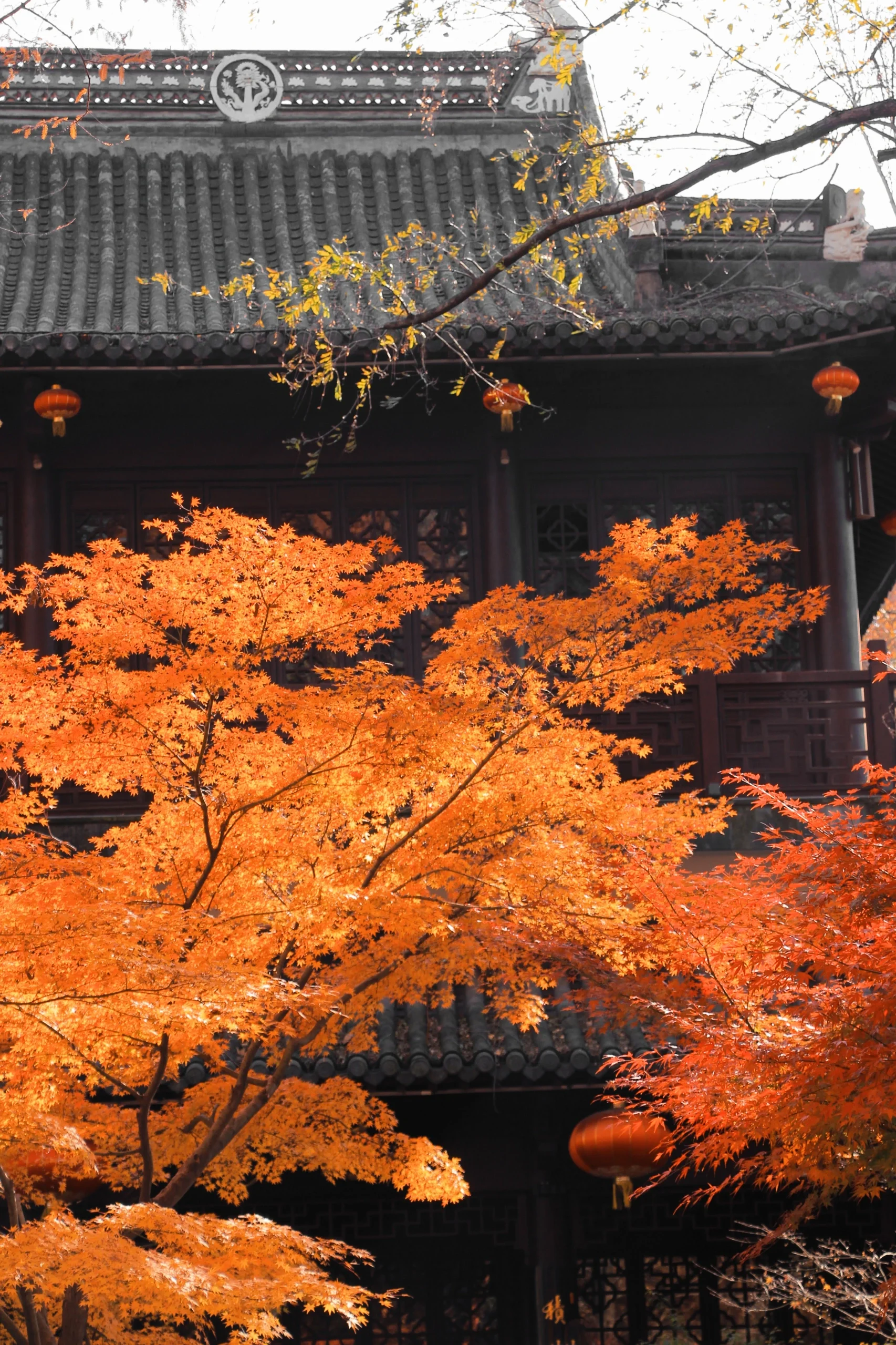 栖霞山堪称南京旅游天花板攻略篇