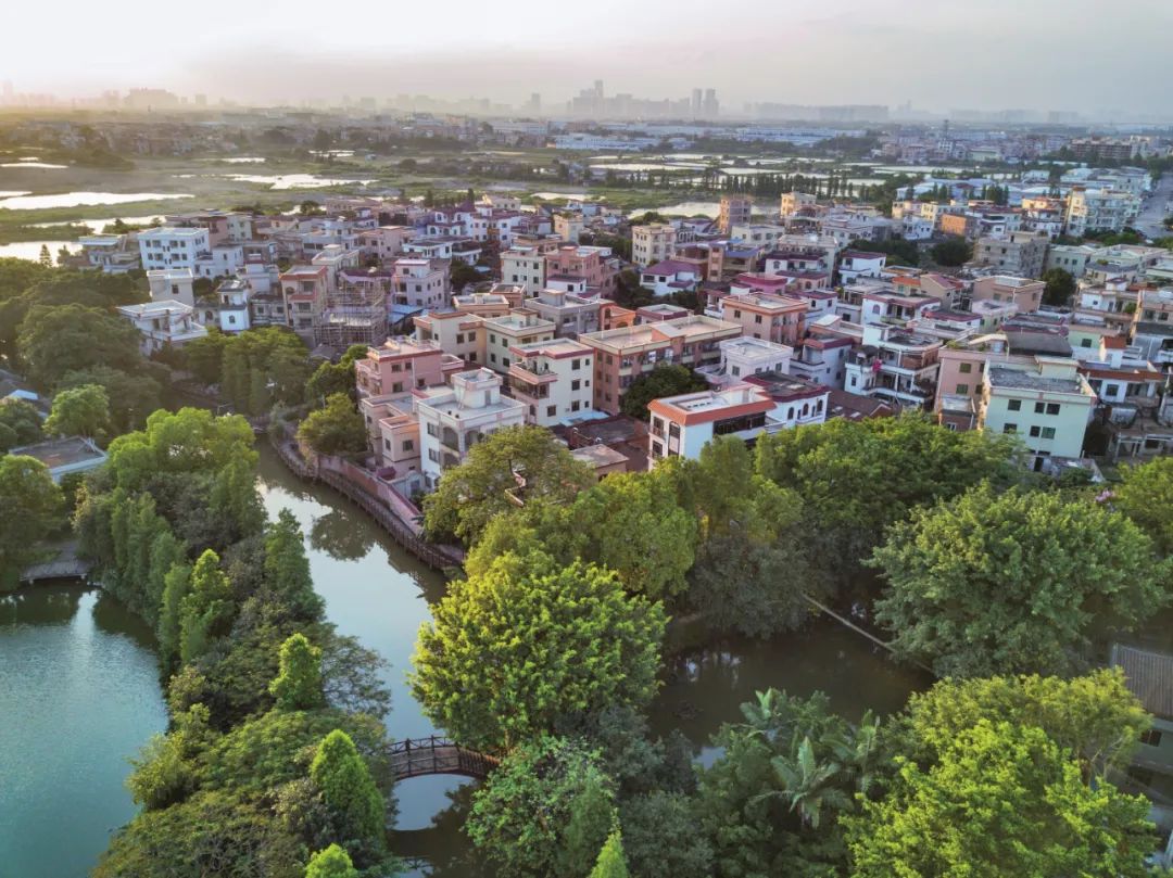 广东顺德:以村改撬动乡村振兴