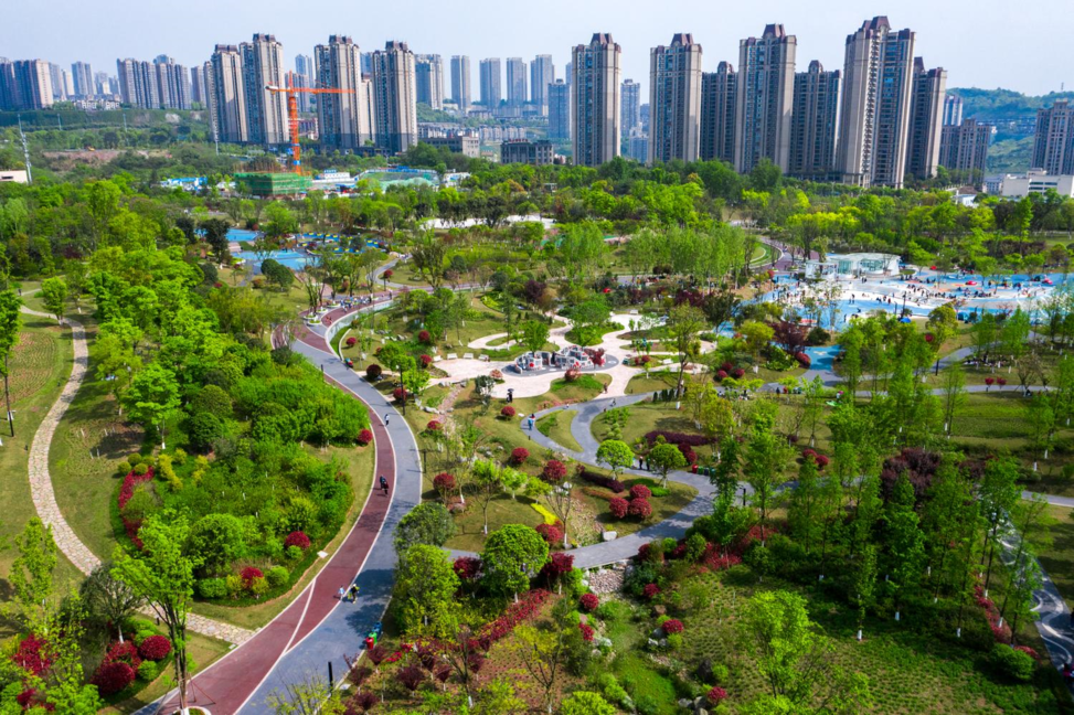 金州公园 张坤琨 摄