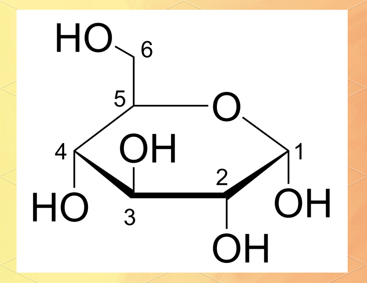 糖类化合物的结构与性质解析:从c6h12o6到多糖
