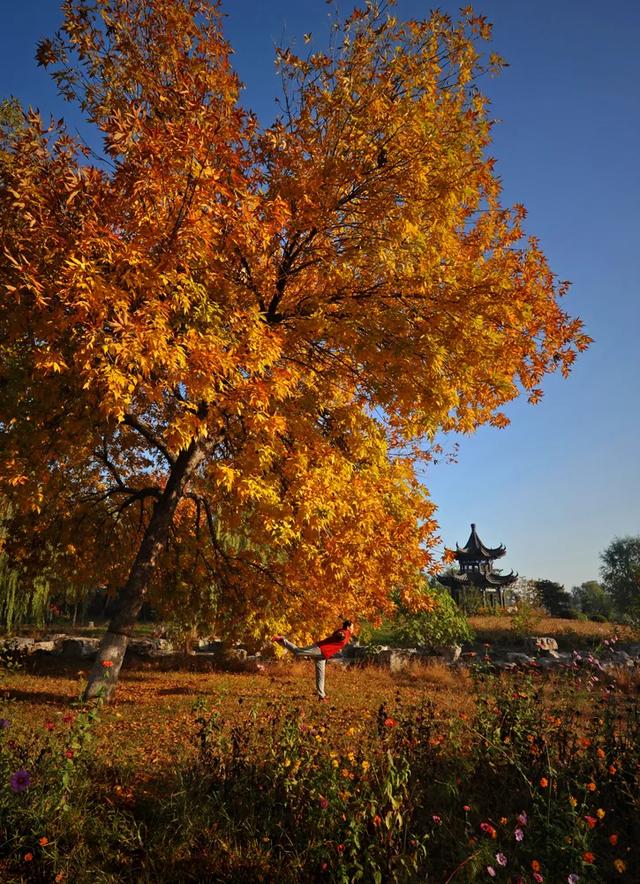 曹雪芹公园图片