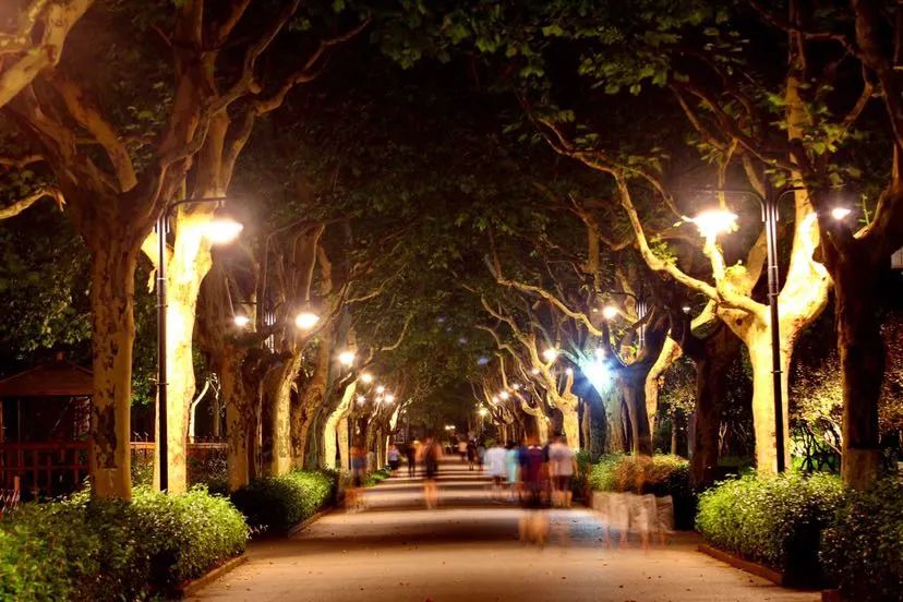 夜晚的世纪公园,你去打过卡吗?