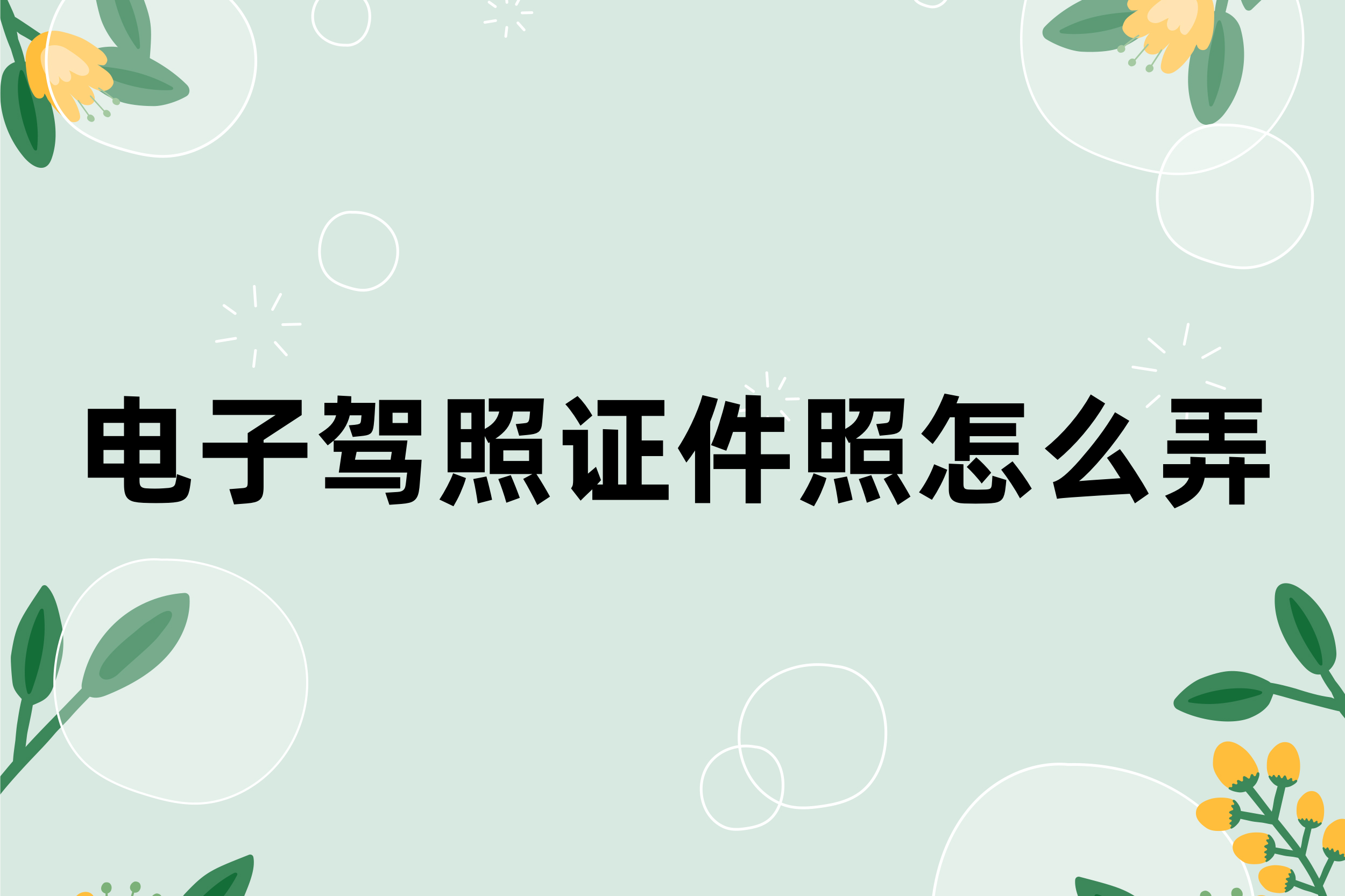 電子駕照證件照怎麼弄