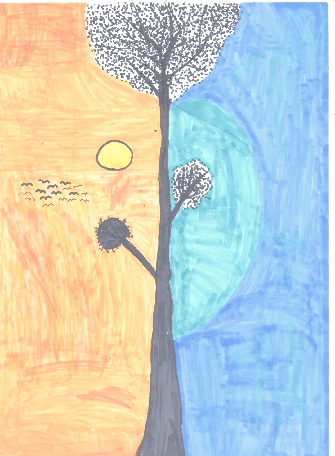 美术课探索:色彩的多样和谐与对比关系