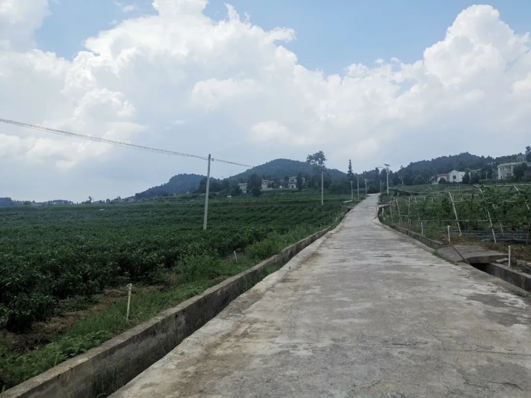 金沙县岚头镇:加强基础设施建设 全力推进乡村振兴