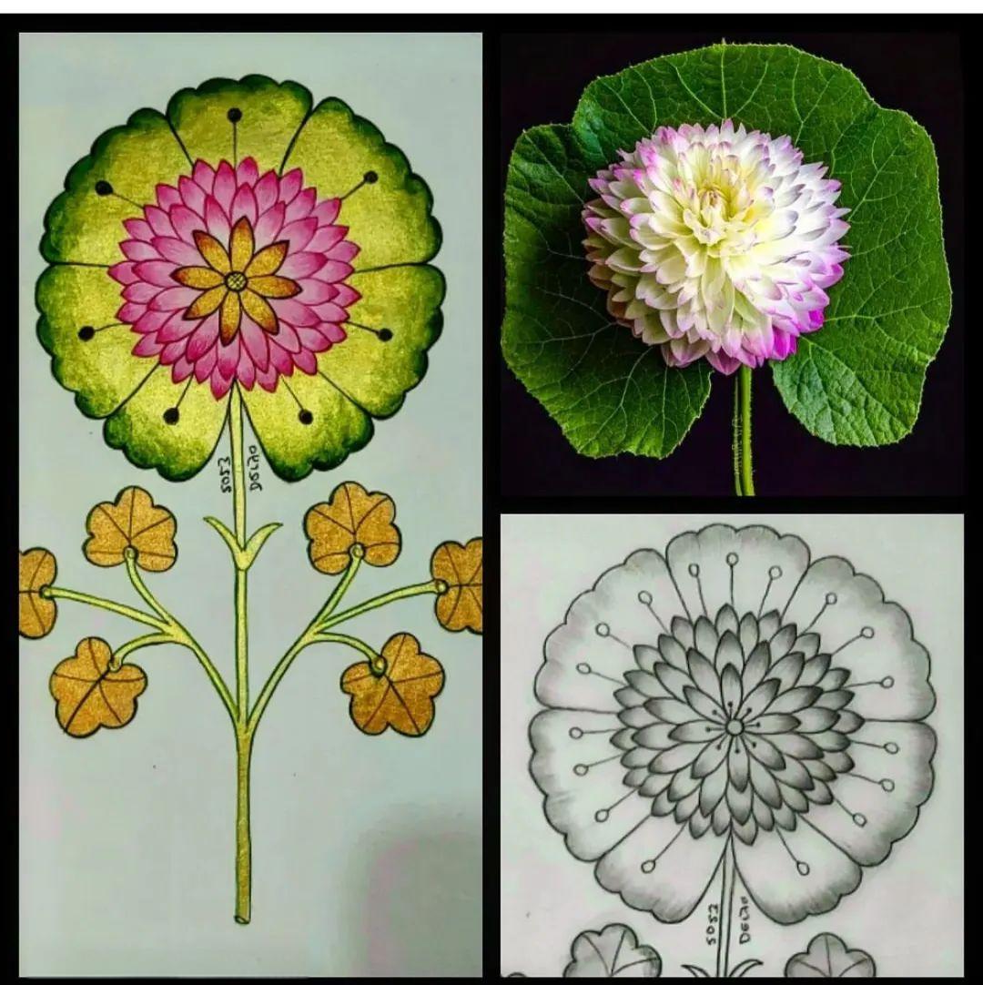 众多来自大自然的精美花草图案