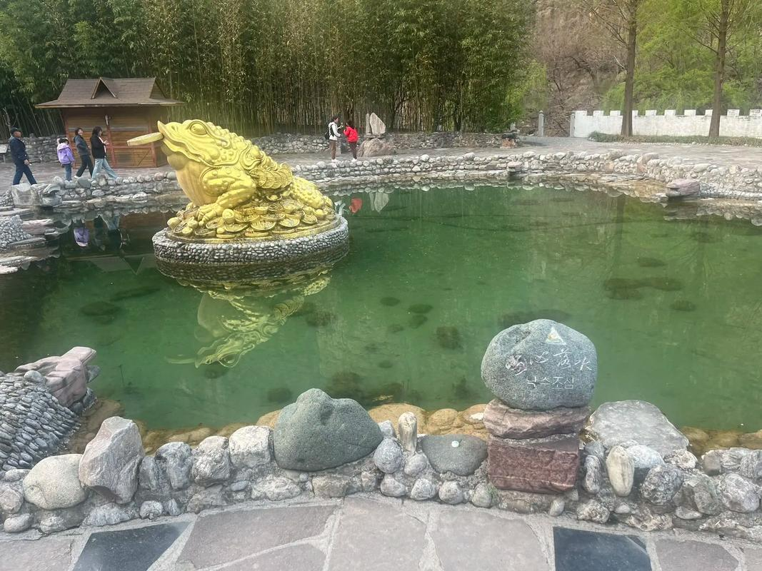 马得福的情感抉择与高青峡的吸引力