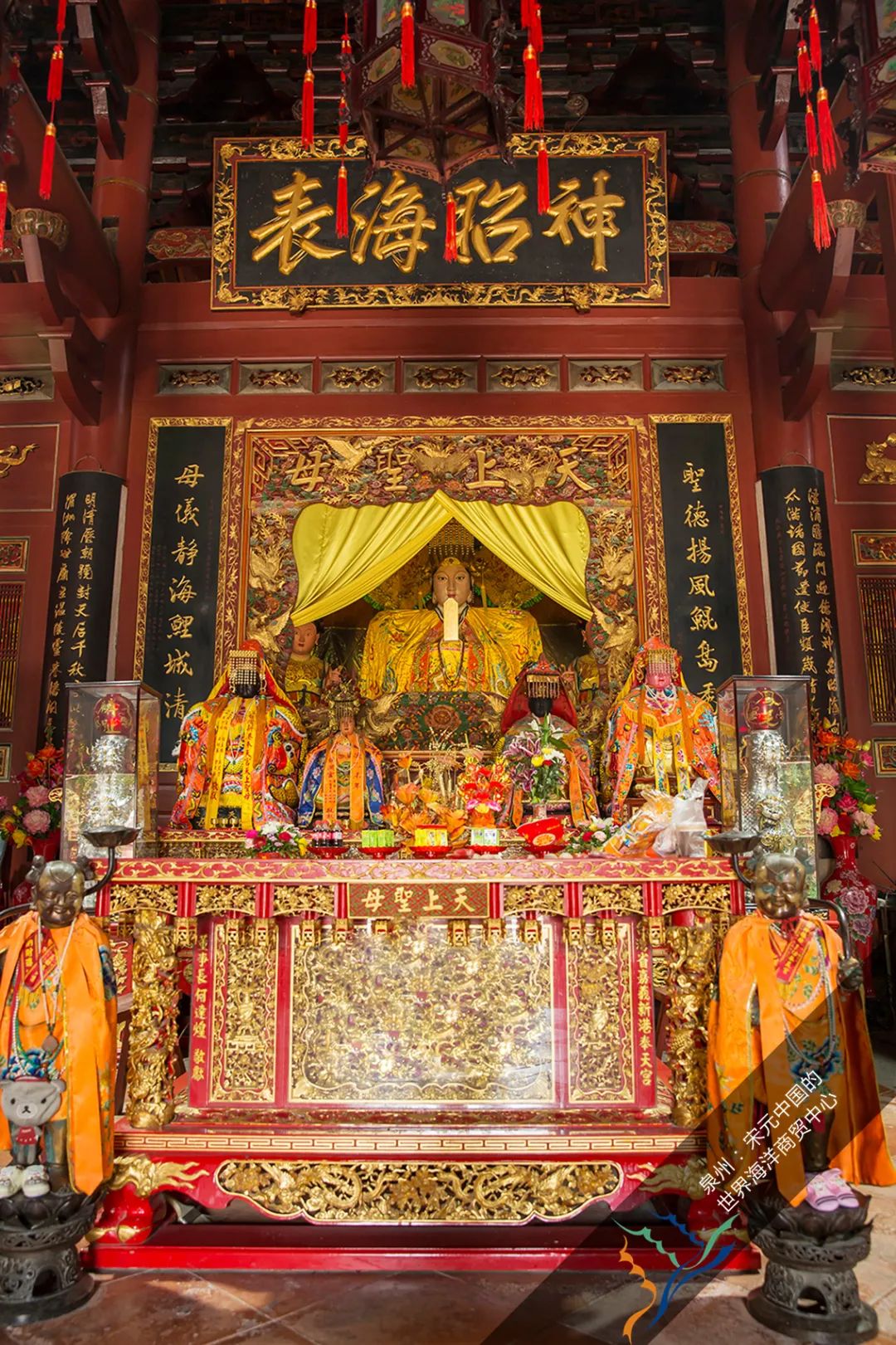 知晓|25~32℃,奥运两日6金!高招专科提前批志愿征集26日进行!