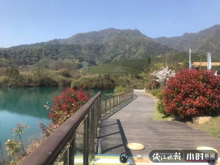 除了西湖景区爆红,最近,杭州龙坞这里的水库人气也很旺