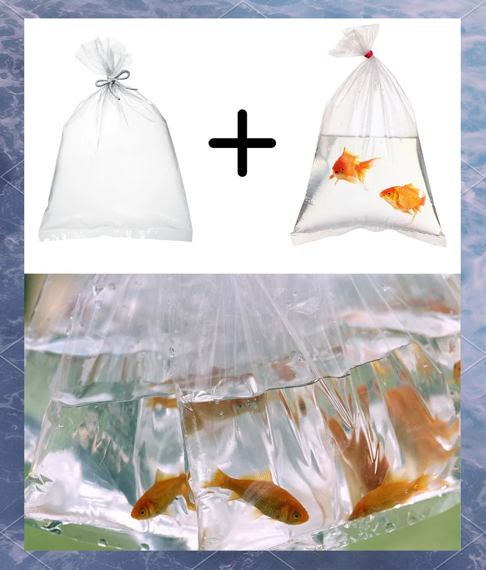 绘画指南:探索塑料袋中的多彩海洋世界