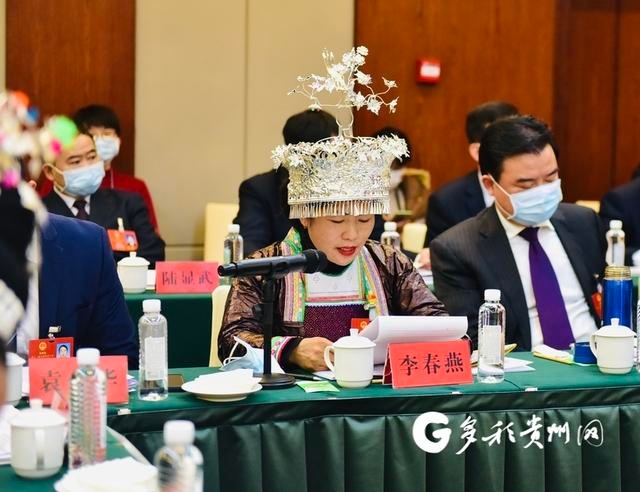 贵州省人大代表李春燕:省地联动 打造贵州侗乡大健康产业示范区