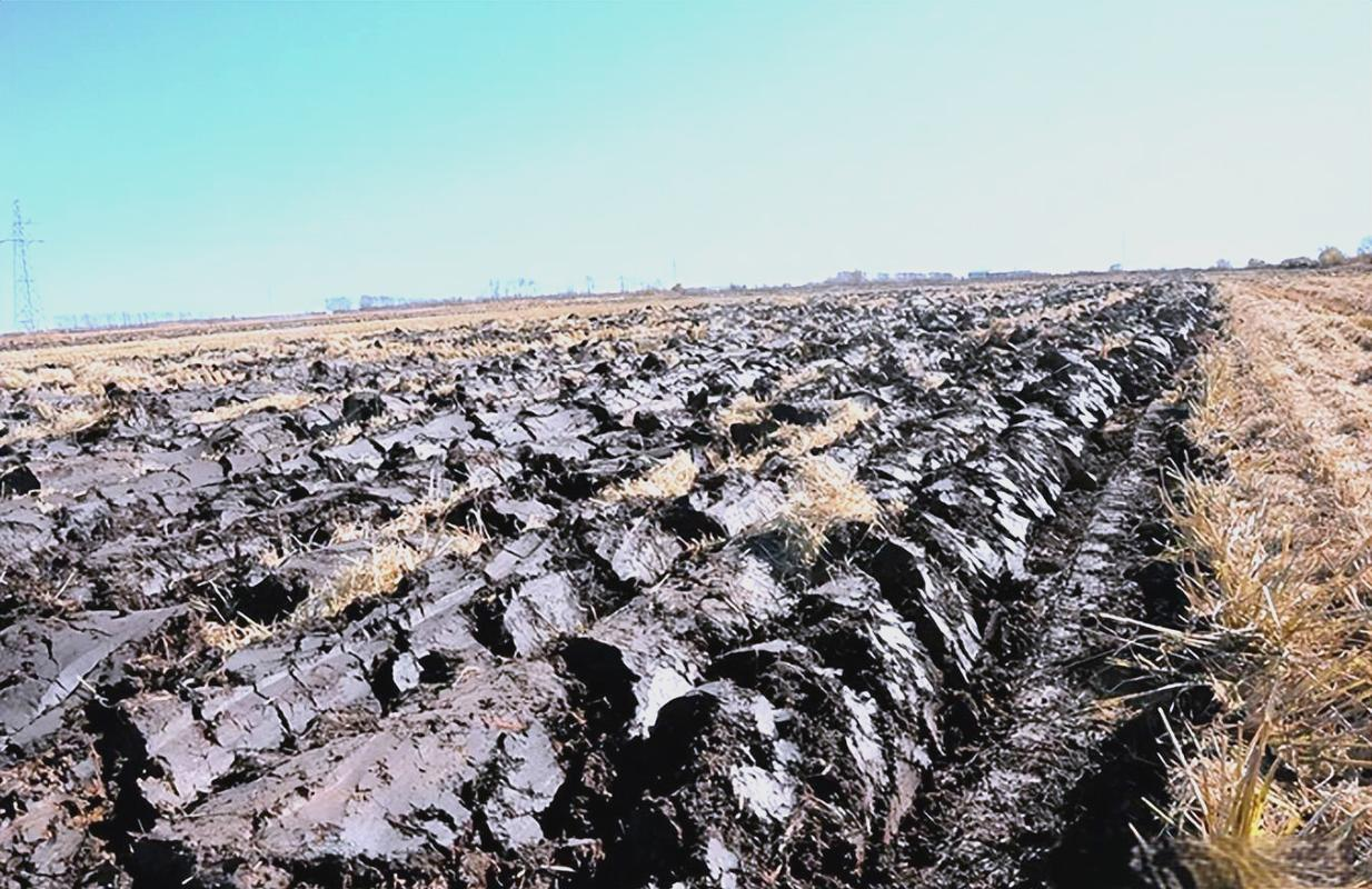 利用秸秆还田技术提升东北黑土地肥力