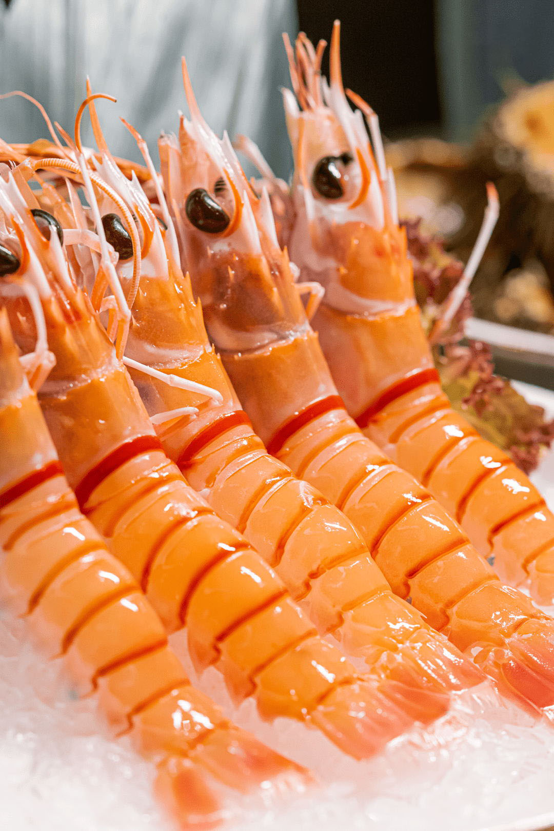 新西兰鳌虾为何能称为虾中宾利?