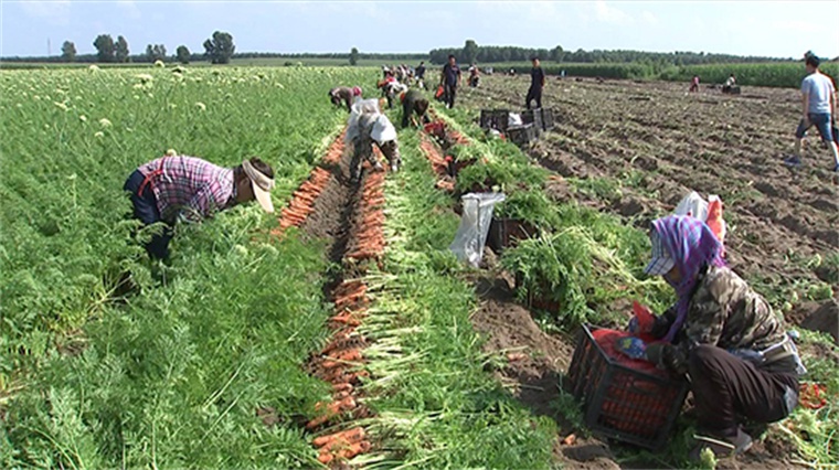 双辽市玻璃山镇