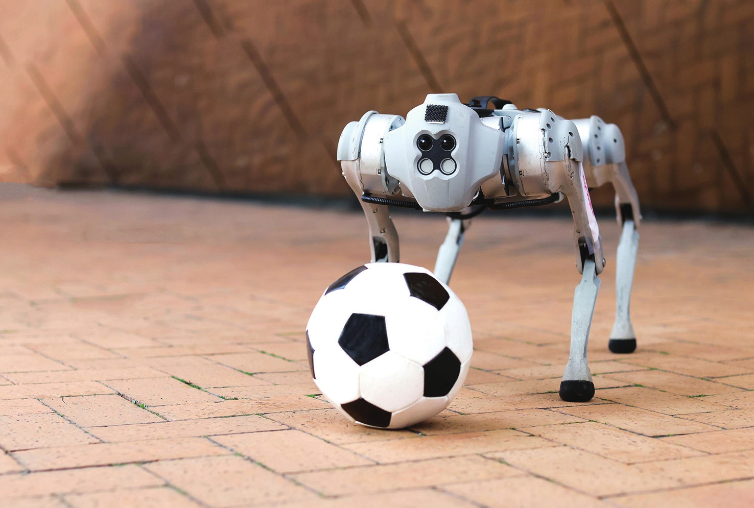 mit开发在现实条件下学习运球的四足机器人