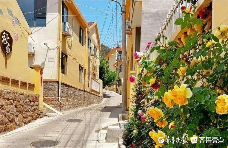 青岛市崂山区北宅街道:打造乡村振兴新名片邂逅共富路上新图景