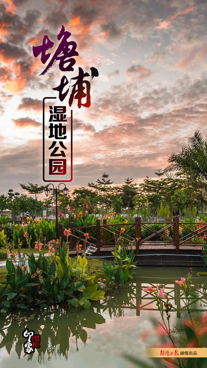 印象揭阳|塘埔湿地公园:红紫芳菲斗,游人不思归