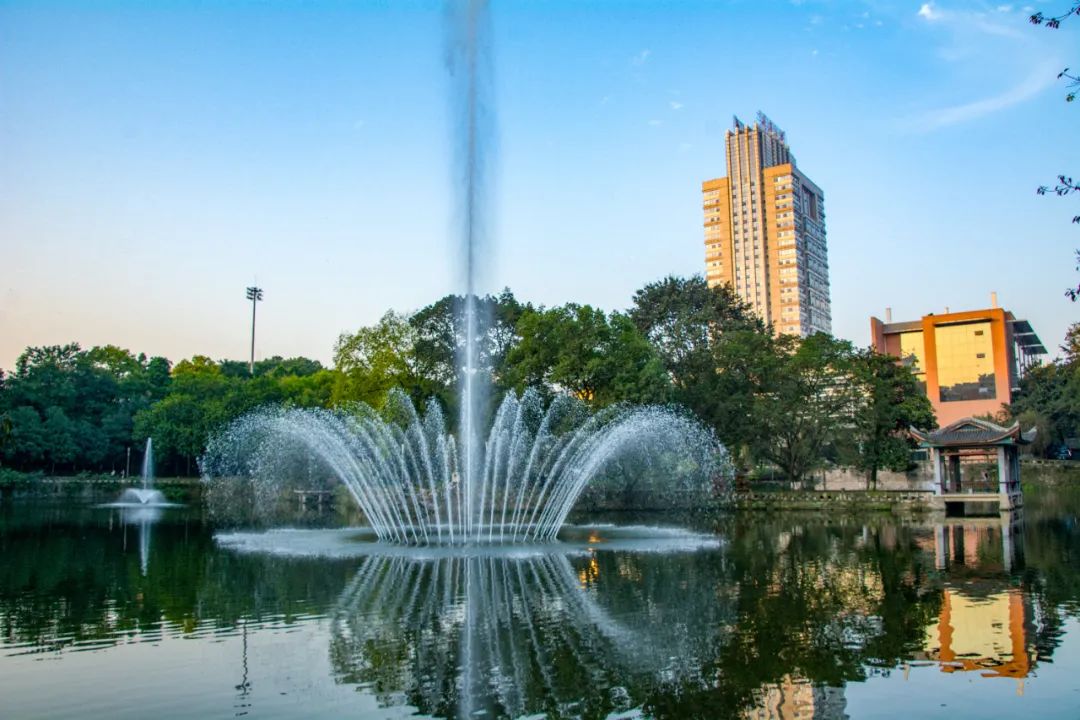 整版聚焦!重庆大学助力重庆新质生产力发展