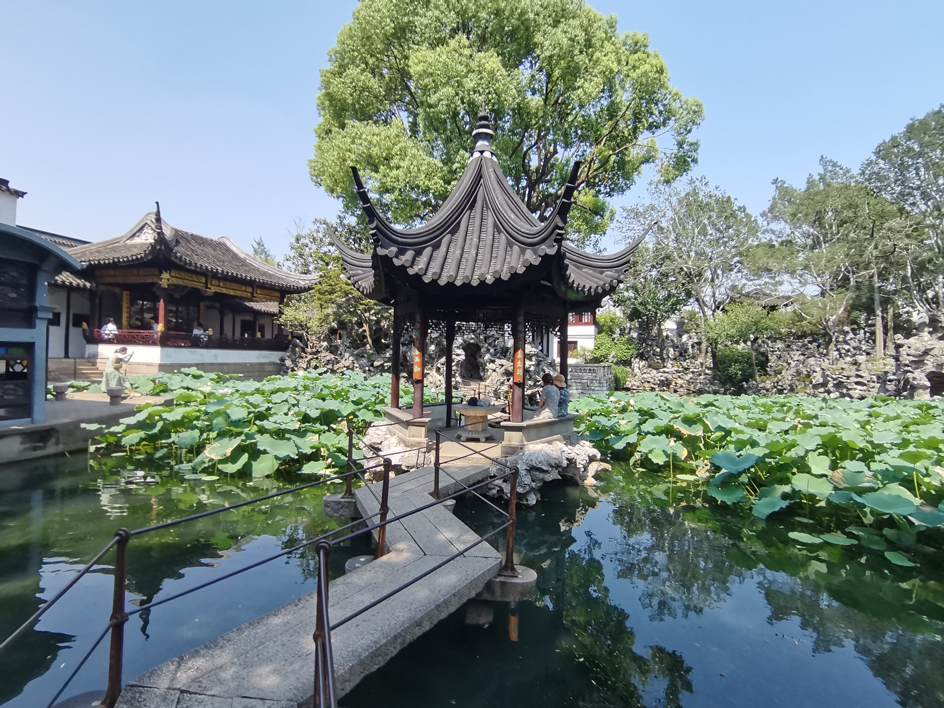 蘇州四大古典園林之一的獅子林之美景