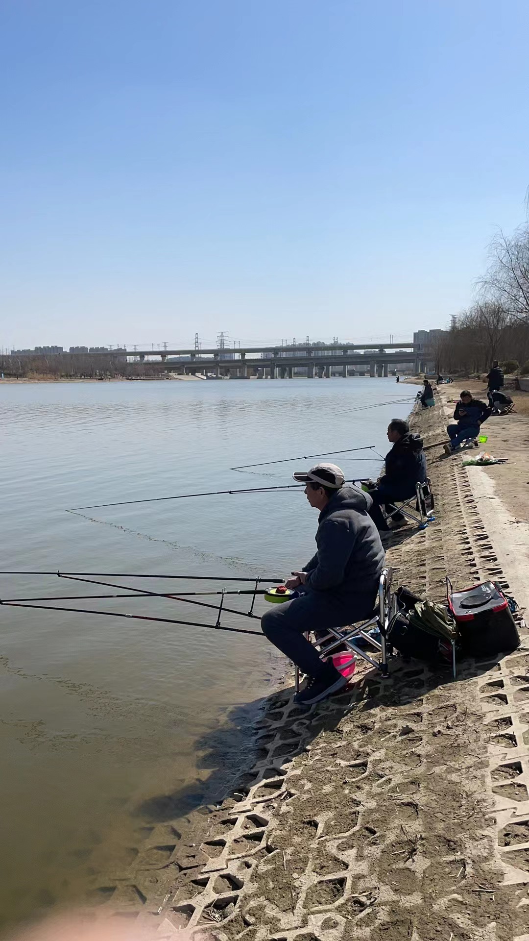 初春夜钓贾鲁河,喜获红毛大鲤鱼