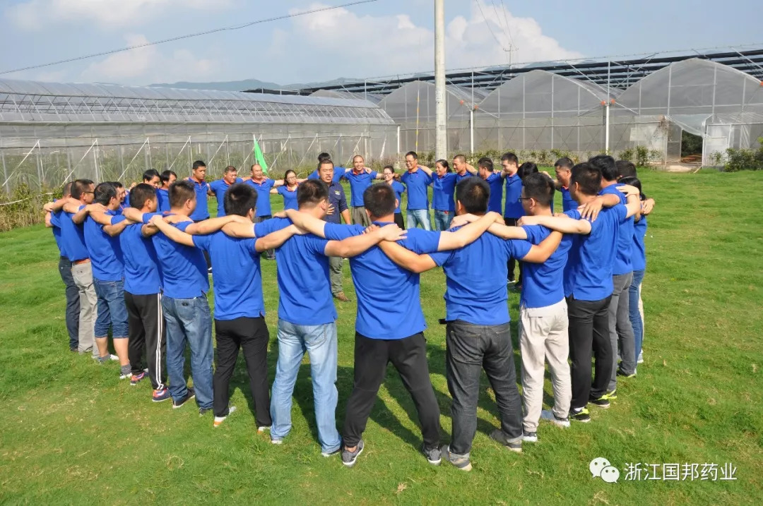 公司组织了团建拓展,我一定要参加吗?