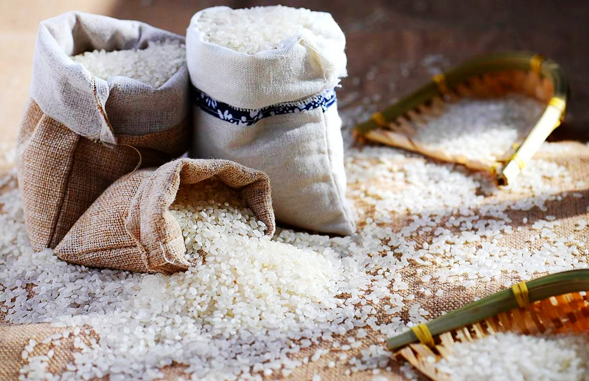 正常脱壳后的水稻变成糙米,味道不好,煮熟后不易消化.