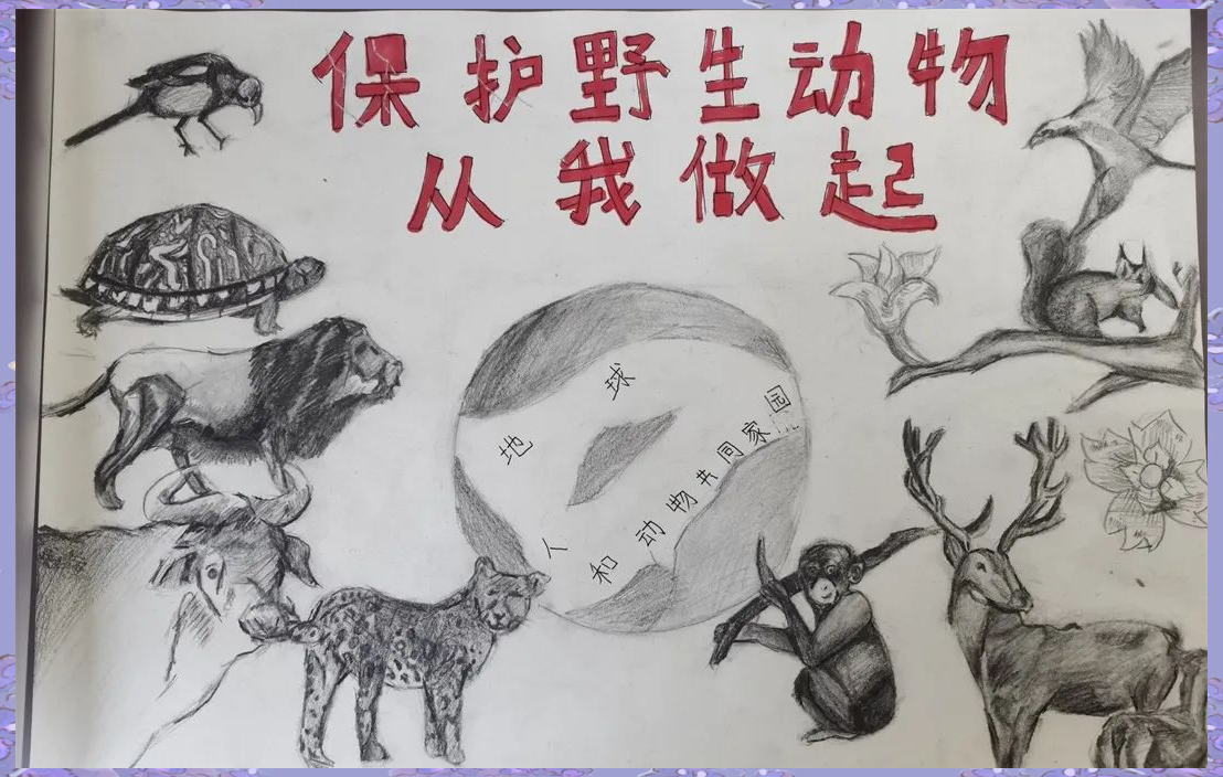 自然篇——多幅爱护野生动物的绘画作品展示