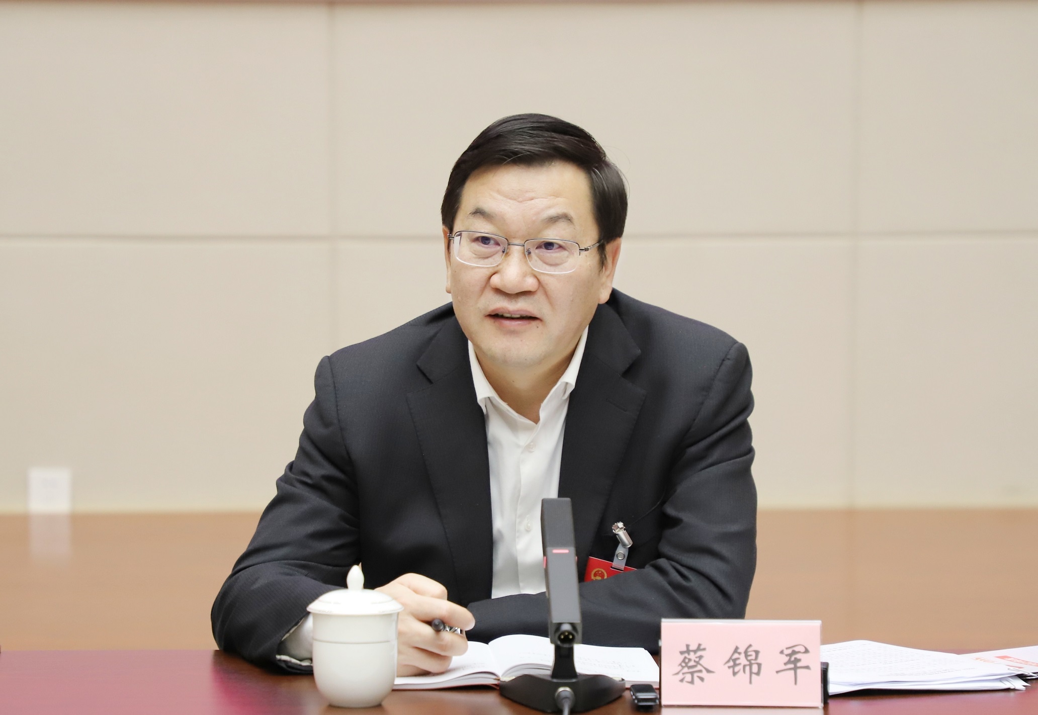 蔡锦军参加海城区代表团审议时强调 围绕中心 服务大局 为打造品质