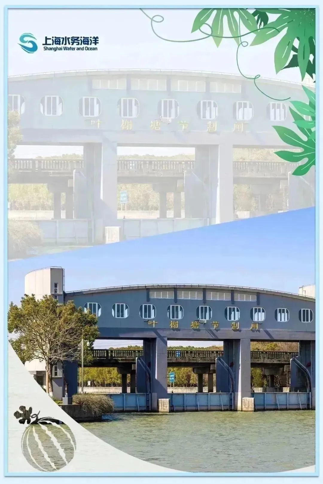 水韵61节气|暑盛至极 顺颂夏祺