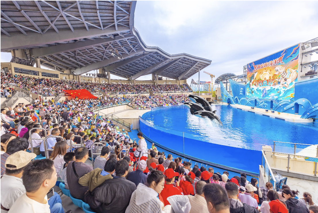 近5年最火假期消费周!