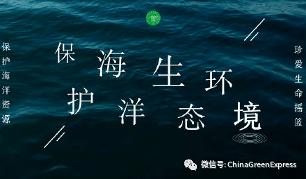 保护海洋生态环境,人与自然和谐共生