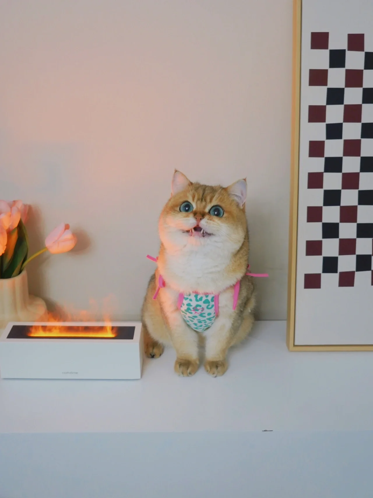 谁家小男孩穿肚兜啊!