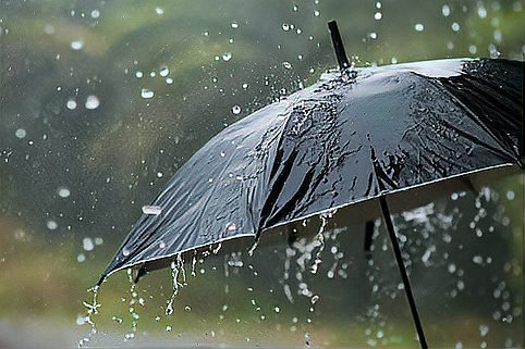 下雨天中的黑色雨伞