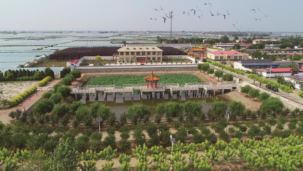 古城新韵绿意浓滦南省级森林城市创建