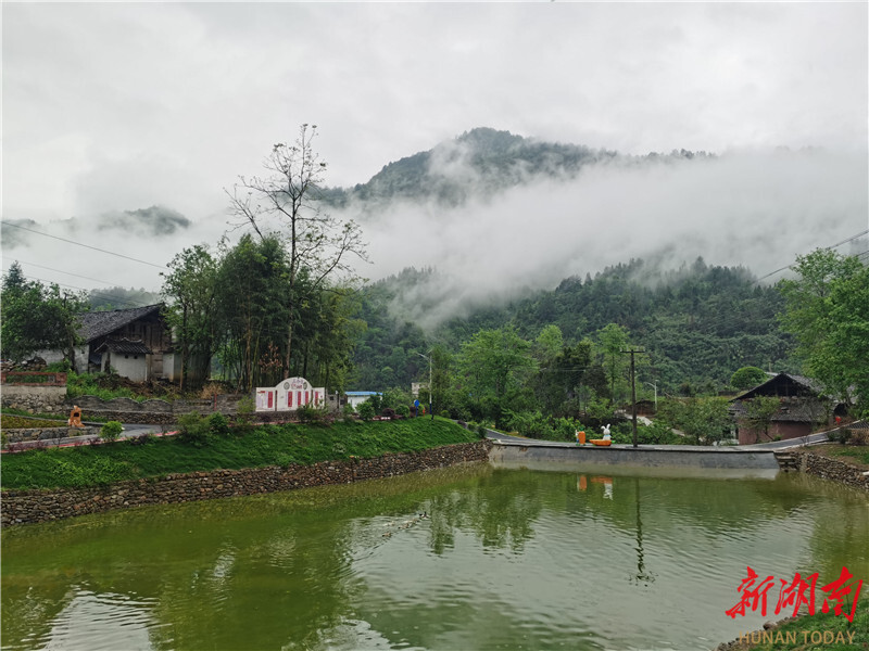 花开三个堡 幸福绵长来——龙山县洗车河镇三个堡村多措并举推进乡村