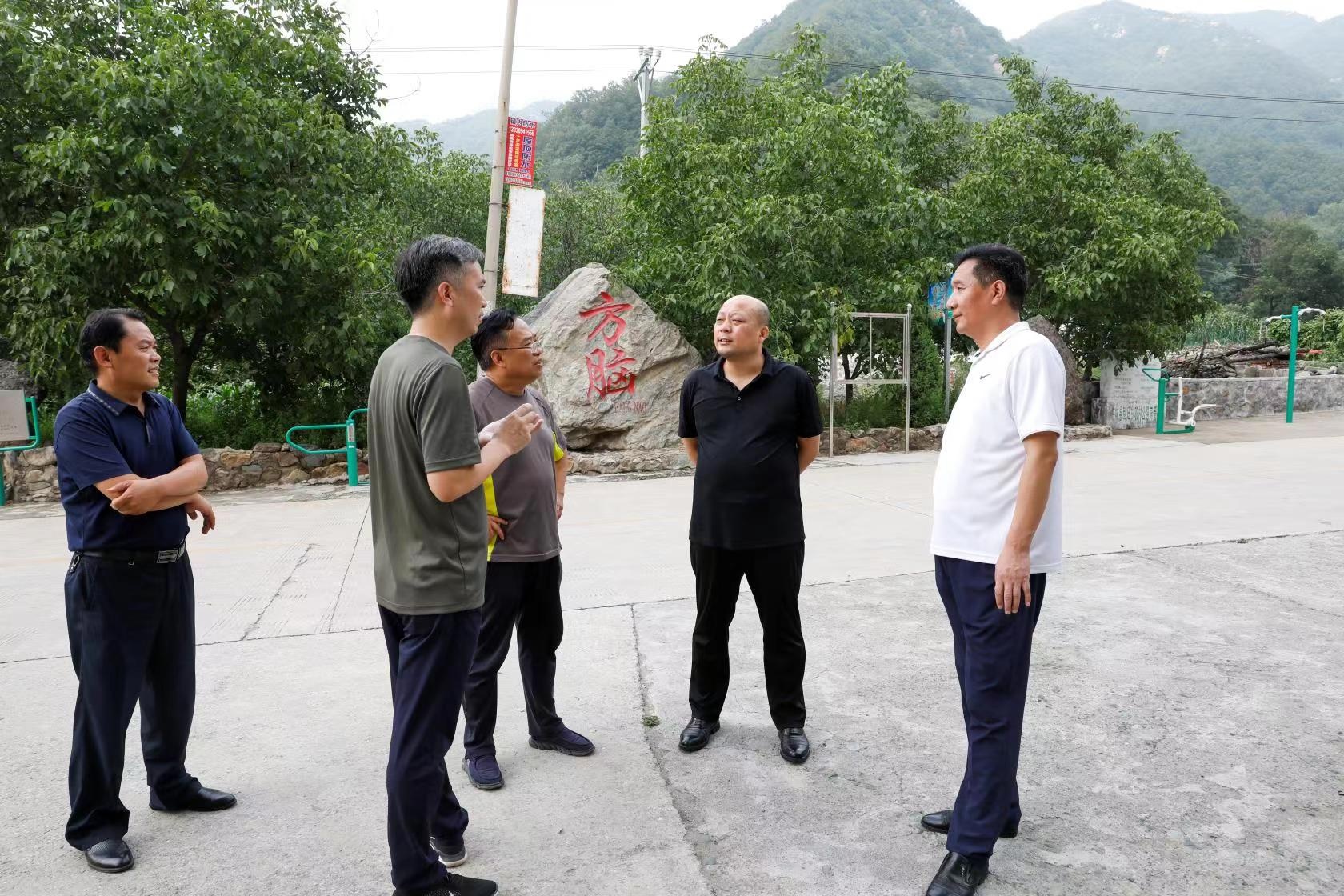 蒋九芳赴临城调研指导乡村振兴工作