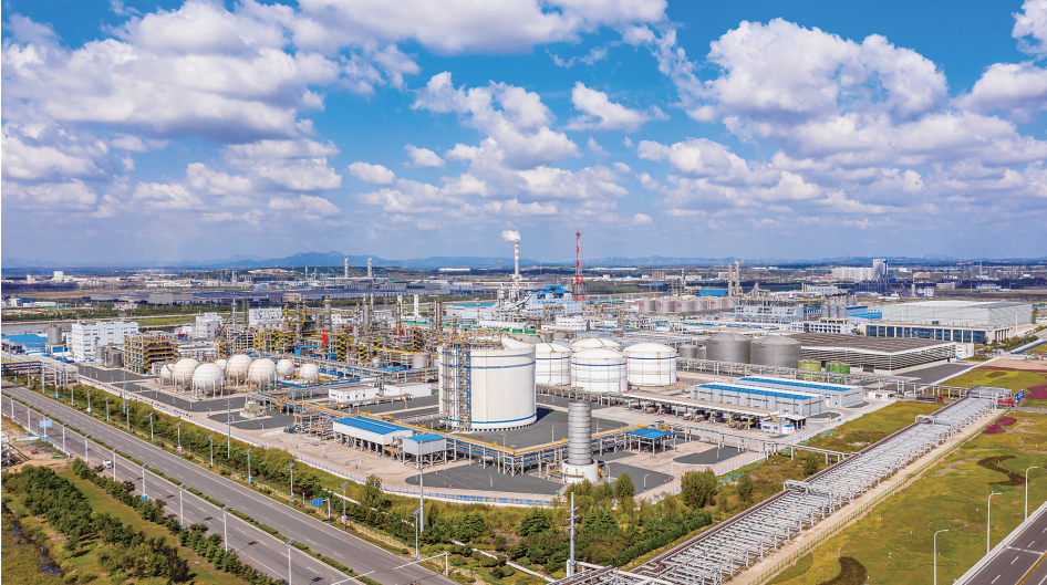 走进功能区看"开局"|董家口经济区:繁育高端化工"产业雨林"