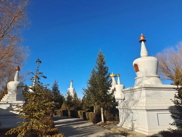 「牵手高铁 畅游武威」凉州白塔寺