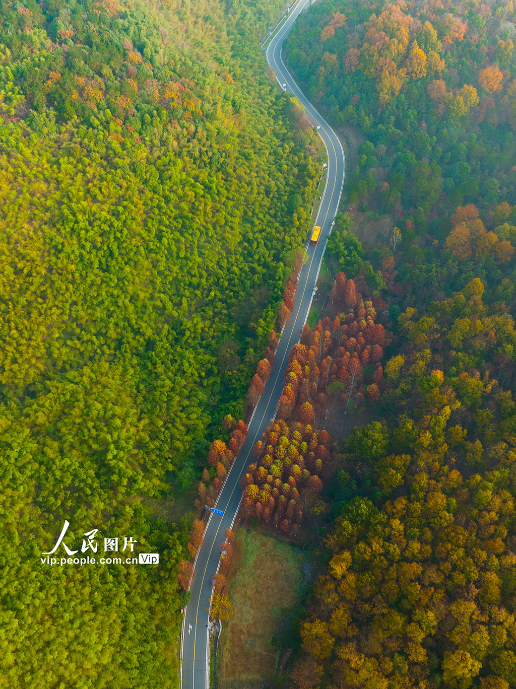 江苏南京 无想山风景区冬景如画