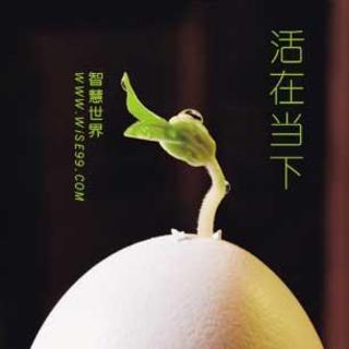 焦虑的疗伤秘籍二:活在当下