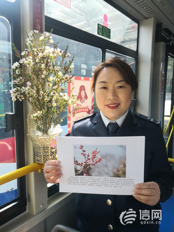 乘公交还能闻花香学知识 青岛15路开出赏梅区间车