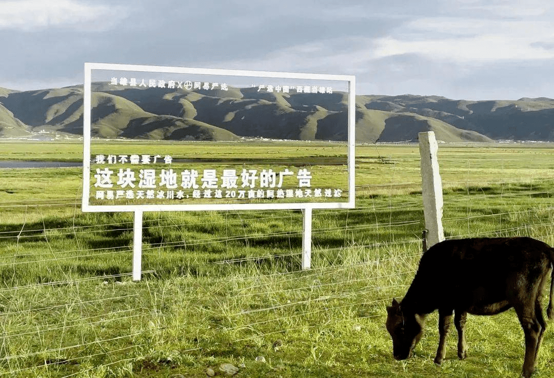 廣告效果評估方法論:最新研究進展及案例