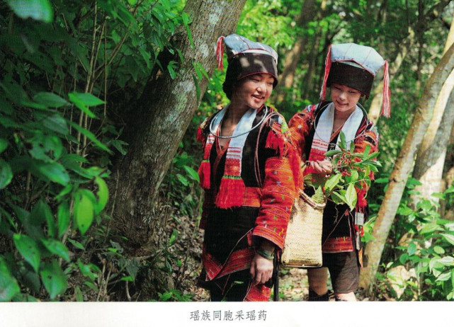 瑶医和瑶药的起源和发展