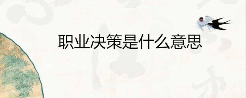 职业决策是什么意思