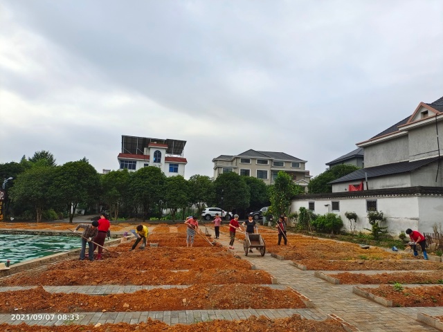 建德桂花村图片