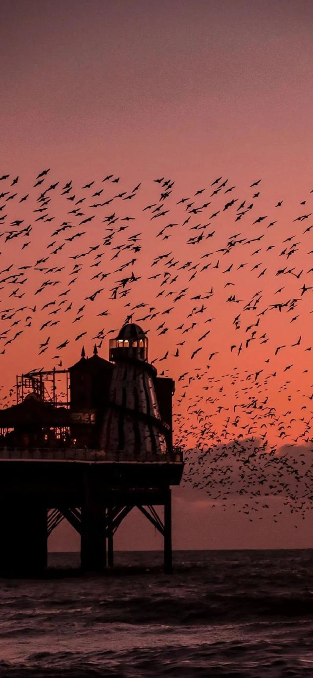 你的童年我童年都一样 怀旧文艺壁纸