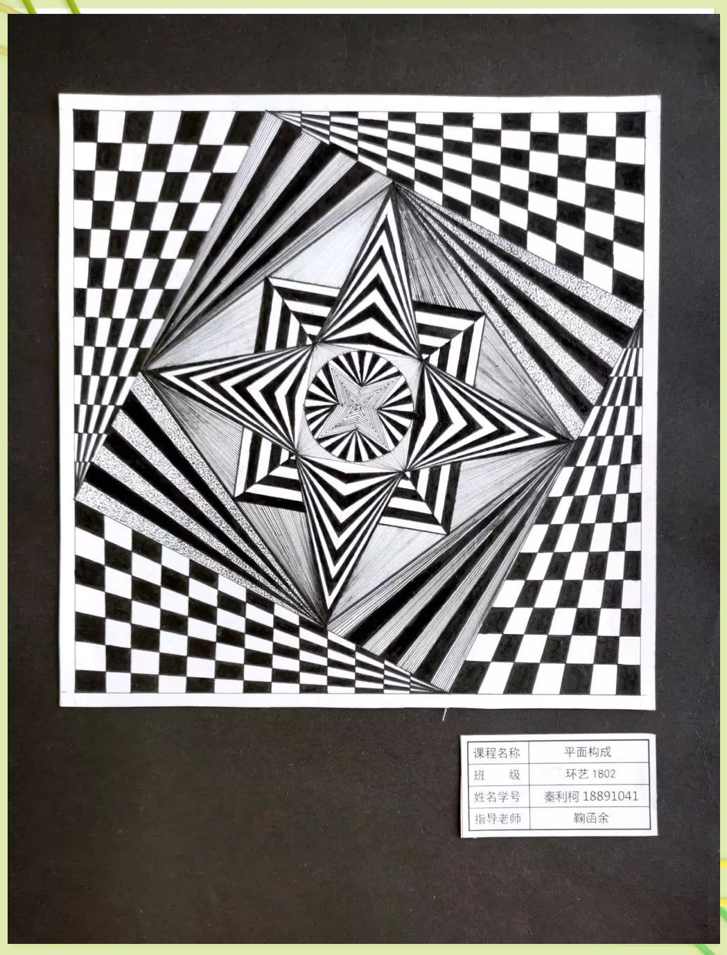 不同粗细的线型巧妙搭配,进一步丰富了画面的层次感.而疏密有致的细点