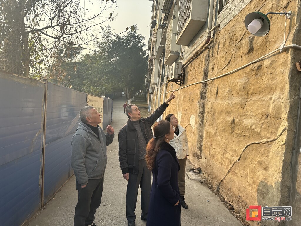 21盏路灯照亮群众幸福路 大安区上下联动高效办理民生实事小记